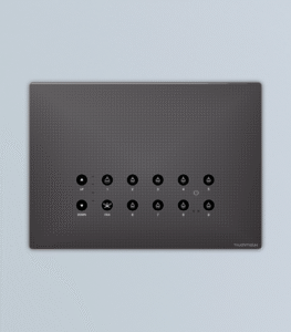 Ruby 1 Fan + 9 Switch + Master - Image 2